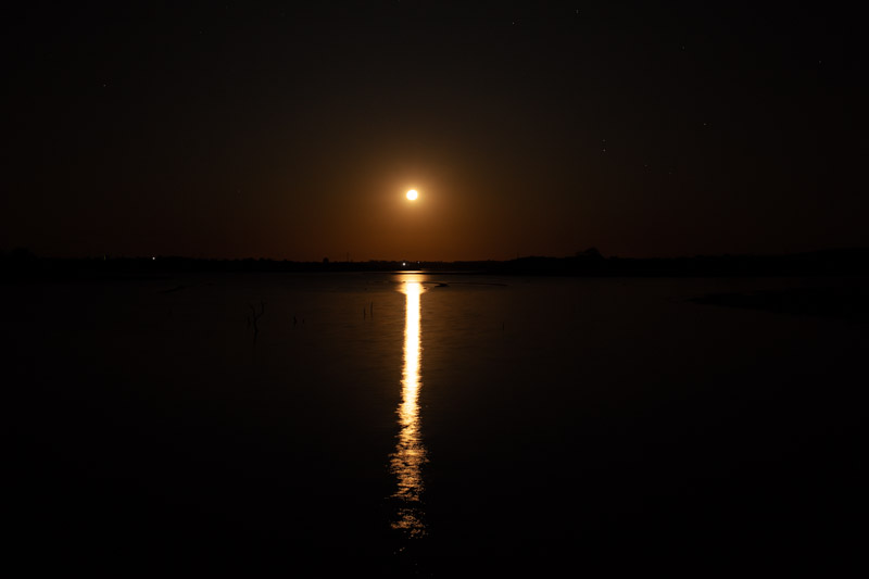 imagem 39, local: Ilha Solteira-SP. Na imagem vemos a lua cheia refletida na água. O horizonte divide o quadro ao meio, no céu brilham algumas estrelas. O brilho da lua é forte e dourado, seu reflexo parte do centro da imagem e desce em linha reta até o rodapé da imagem, onde gradativamente desaparece.