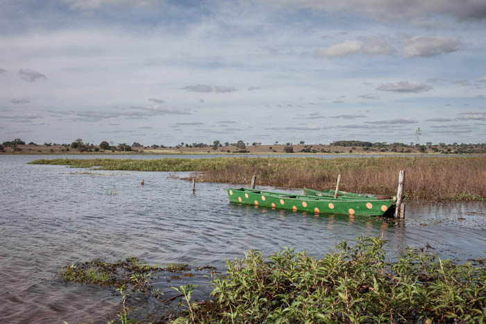 imagem 23, local: Rubinéia-SP. Imagem fotográfica, a câmera aponta para frente. No primeiro plano vemos plantas aquáticas na cor verde, no segundo plano um barco pequeno de pesca em madeira de cor verde com bolinhas amarelas. Ele está amarrado a um tronco de madeira que é parte de uma cerca de arame que está parcialmente submersa. Depois do barco vemos plantas aquáticas flutuantes, mais atrás uma faixa estreita do rio e na outra margem, na linha do horizonte, algumas árvores, arbustos e o solo seco. A largura do rio nesse ponto é de aproximadamente 700 metros.