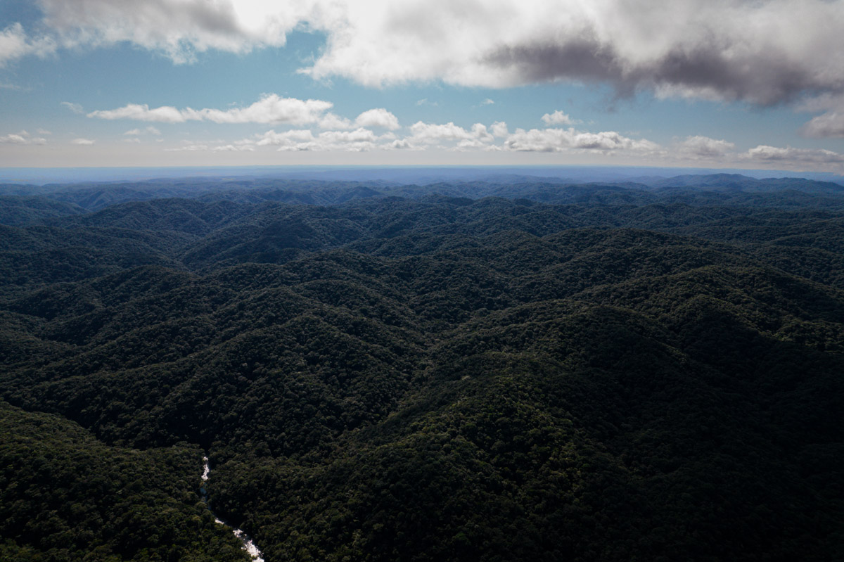 imagem 1, local: Parque Estadual Nascentes do Paranapanema, Capão Bonito-SP. Imagem aérea, o drone está a 500 metros de altura, a câmera aponta para o horizonte. Na imagem vemos infinitas montanhas cobertas por uma floresta densa de tons de verde, que vai do mais escuro ao mais claro, predominando os tons mais escuros. Não é possível ver onde terminam as montanhas, elas são altas e tem formato arredondado na parte superior. No canto inferior esquerdo do quadro aparece um pequeno trecho do rio Paranapanema, o rio reflete a luz o sol num tom prateado. O céu está azul com nuvens esparsas, uma nuvem grande, branca e cinza, parece estar bem próxima do drone.