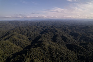 Imagem 54, local: Parque Estadual Nascentes do Paranapanema, Capão Bonito-SP. Imagem aérea, a câmera aponta para frente. Na imagem vemos infinitas montanhas cobertas de floresta, o céu está azul claro. No horizonte as nuvens tem formato achatado e preenchem o quadro de ponta a ponta. O sol ilumina a cena, do lado direto para o lado esquerdo, cria sombras e texturas com uma luz amarela de fim de tarde.