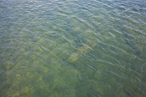 Imagem 20, local: Chavantes-SP. Imagem fotográfica, a câmera aponta para baixo. Na imagem vemos um rio de águas cristalinas, com seu leito de pedras. A água tem um tom esverdeado, é possível ver reflexos do céu na água, a correnteza cria pequenas ondulações que espelham o brilho do céu.