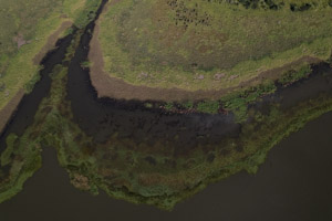 Imagem 10, local: Paranapanema-SP. Imagem aérea de drone, a câmera aponta para baixo. Na imagem vemos o rio, sua margem e um vegetação rasteira. O que vemos na imagem é parte de uma vegetação aquática que aparece quando o nível do rio baixa, com múltiplos tons de verde e textura variada. Na terra, pela falta de chuva, o verde é mais claro e seco. É possível ver algumas pedras na cor marrom e musgos escuros.