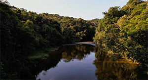 imagem 7, local: Parque Estadual Nascentes do Paranapanema, Capão Bonito-SP. Imagem aérea de video, a câmera aponta para frente, duração de 1 minuto e 32 segundos. O drone faz o movimento de baixo para cima, chega a 500 metros de altura. Na imagem vemos o rio Paranapanema, estreito, raso, com o seu leito de pedras, a mata densa ocupam as margens. O sol ilumina apenas a lateral direita, na água vemos os reflexos do céu e das árvores. Na medida em que o drone sobe em linha reta o rio fica cada vez mais escuro e desaparece no meio da vegetação, e uma infinidade de montanhas vão surgindo, todas cobertas pela mata verde. É fim de tarde, o sol ilumina toda a cena. O céu está limpo e azul, e ao longe, vemos nuvens distantes.