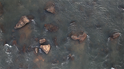 Imagem 46, local: Parque Natural do Dourado - Piraju-SP. Imagem aérea de video com duração de 31 segundos, a câmera aponta para baixo. O drone está bem próximo do rio. Na imagem vemos algumas pedras e a correnteza do rio que desce de cima para baixo, a água é esverdeada, é possível ver as pedras do leito do rio que é raso nesse ponto. O atrito das águas com as pedras geram uma espuma fina e branca que se mistura rapidamente com a água e desaparece.