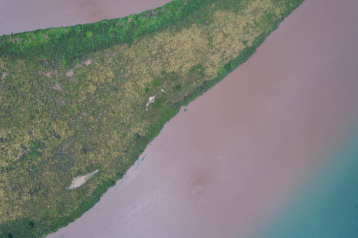 Imagem 30, local: Colômbia-SP. Imagem aérea, a câmera aponta para baixo. O drone está a 420 metros de altura. A fotografia mostra parte de uma ilha e as águas do rio Grande. A ilha é coberta por vegetação, nas margens o verde é mais escuro e brilhante, no centro é mais claro e seco. Vista de cima, a textura é mais perceptível do que os detalhes das plantas. As águas tem coloração marrom, e apenas no canto inferior direito uma pequena parte da água é verde. A luz é difusa e a cena bem iluminada.