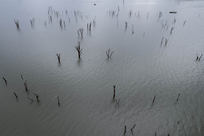 imagem 52, local: Mesópolis-SP. Imagem aérea, a câmera aponta diagonalmente para baixo. A imagem mostra o rio Grande, muitas árvores secas submersas, ao fundo um barco com três pescadores, acima um pássaro voando com as asas abertas e levantadas. Na imagem vemos muitos galhos de árvores apontando para cima. Eles aparecem quando o volume de água do rio está baixo por falta de chuva. A água é escura, o sol vem de trás deixando os galhos escuros, quase na cor preta. O reflexo do céu aparece homogêneo e cinza. O vento cria uma fina e estremecida textura na superfície da água.