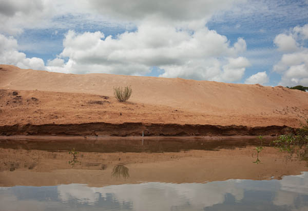 imagem 7, local: Populina-SP. A imagem mostra uma faixa de areia às margens do rio Grande, céu azul com grandes nuvens brancas e reflexo do céu e da areia nas águas. Uma única planta aparece no centro da imagem, ela nasce da areia, seu reflexo aparece na água. No canto direito do quadro aparecem plantas aquáticas. As nuvens aparecem grandes e brancas encobrindo a maior parte do céu azul. A faixa de areia tem a tonalidade marrom claro na parte superior, no meio o tom fica alaranjado ou avermelhado. Na base, a parte em contato com a água, a cor é marrom escuro.