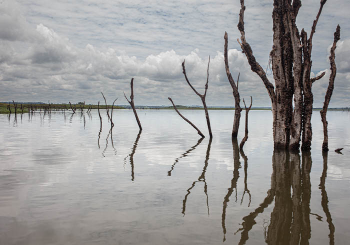 imagem 44, local: Iturama-MG. Imagem fotográfica, a câmera aponta para frente. Foto tirada de dentro de um barco de pesca. A fotografia mostra uma sequência de galhos secos de árvores e seus reflexos no rio Grande. Os galhos apontam para cima, e aparecem maiores e mais grossos no lado direto da imagem. Eles vão diminuindo a medida em que se distanciam, e seguem em diagonal até o limite esquerdo do quadro. O horizonte divide a imagem em duas partes, acima, o céu aparece encoberto de nuvens, abaixo, o rio reflete as nuvens e os galhos.