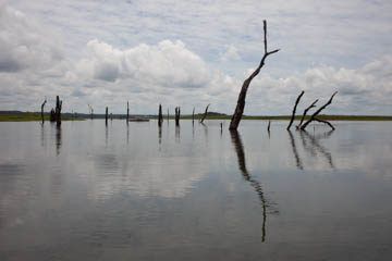 imagem 54, local: Iturama-MG. Imagem fotográfica, a câmera aponta para frente. Foto tirada de dentro de um barco de pesca. A fotografia mostra galhos secos de árvores e seus reflexos no rio Grande. Os galhos ocupam a linha próxima à linha do horizonte, que divide a imagem ao meio. Os galhos são escuros e apontam para cima. Um dos galhos aparece maior, ele tem o tronco mais grosso e no topo se divide em dois. Seu reflexo quando chega ao rodapé do quadro. O horizonte divide a imagem em duas partes: acima, o céu aparece encoberto de nuvens, abaixo, há o reflexo das nuvens e dos galhos.